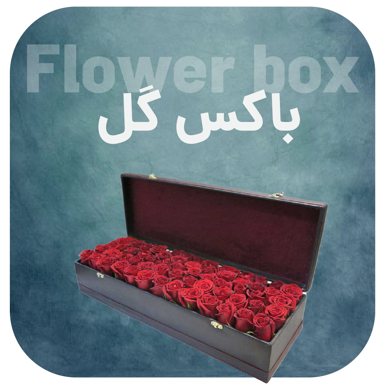 باکس گل